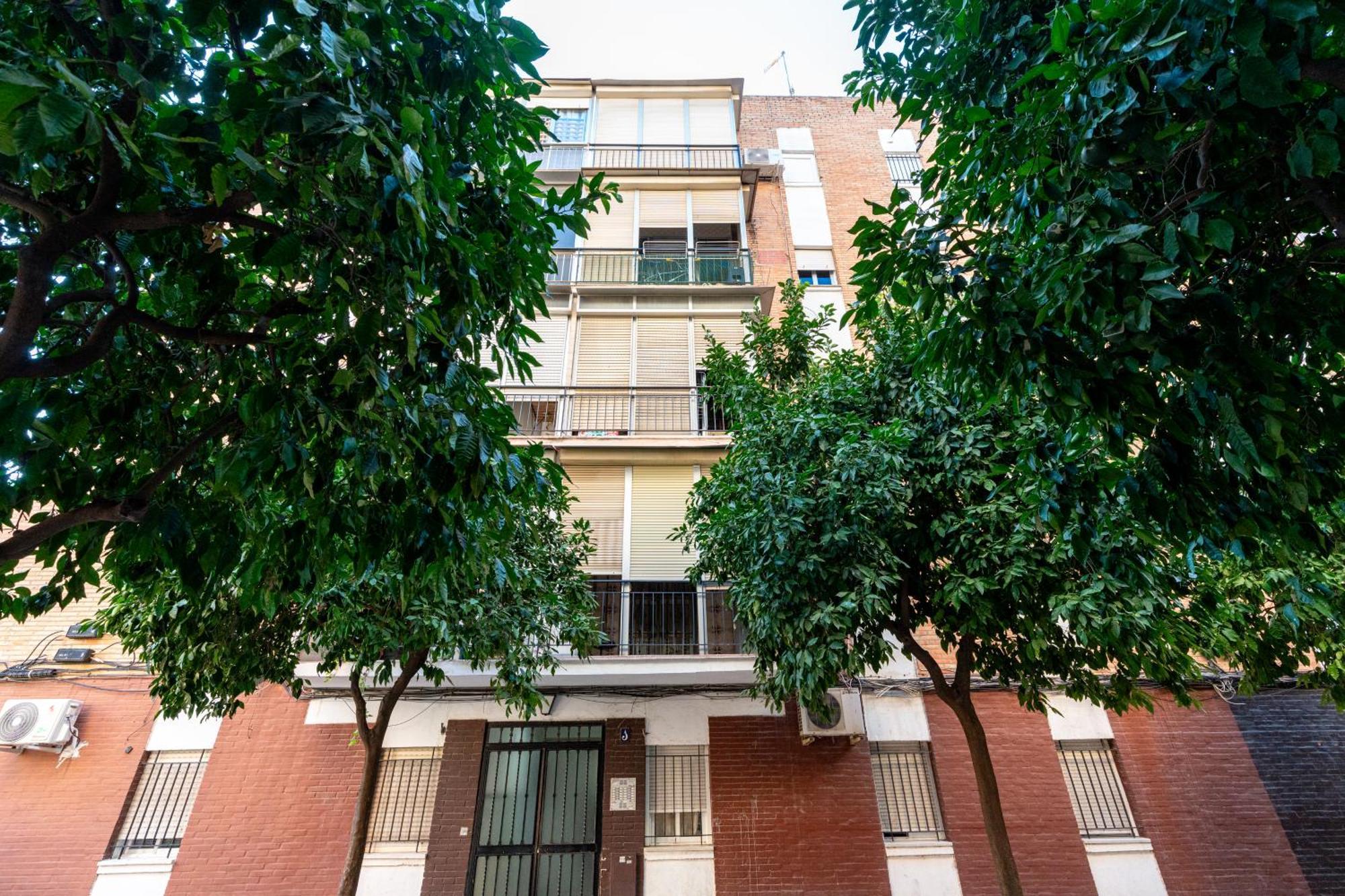 Piso Elegante Y Nuevo De 3 Habitaciones Y 2 Banos Seville Ngoại thất bức ảnh