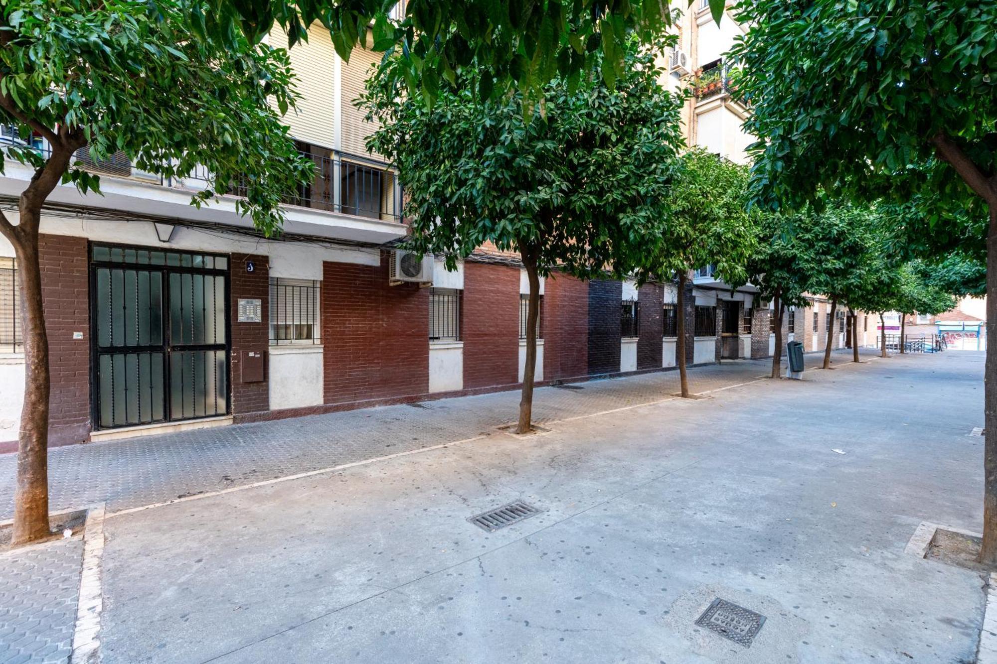 Piso Elegante Y Nuevo De 3 Habitaciones Y 2 Banos Seville Ngoại thất bức ảnh